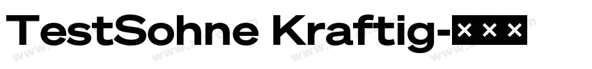TestSohne Kraftig字体转换